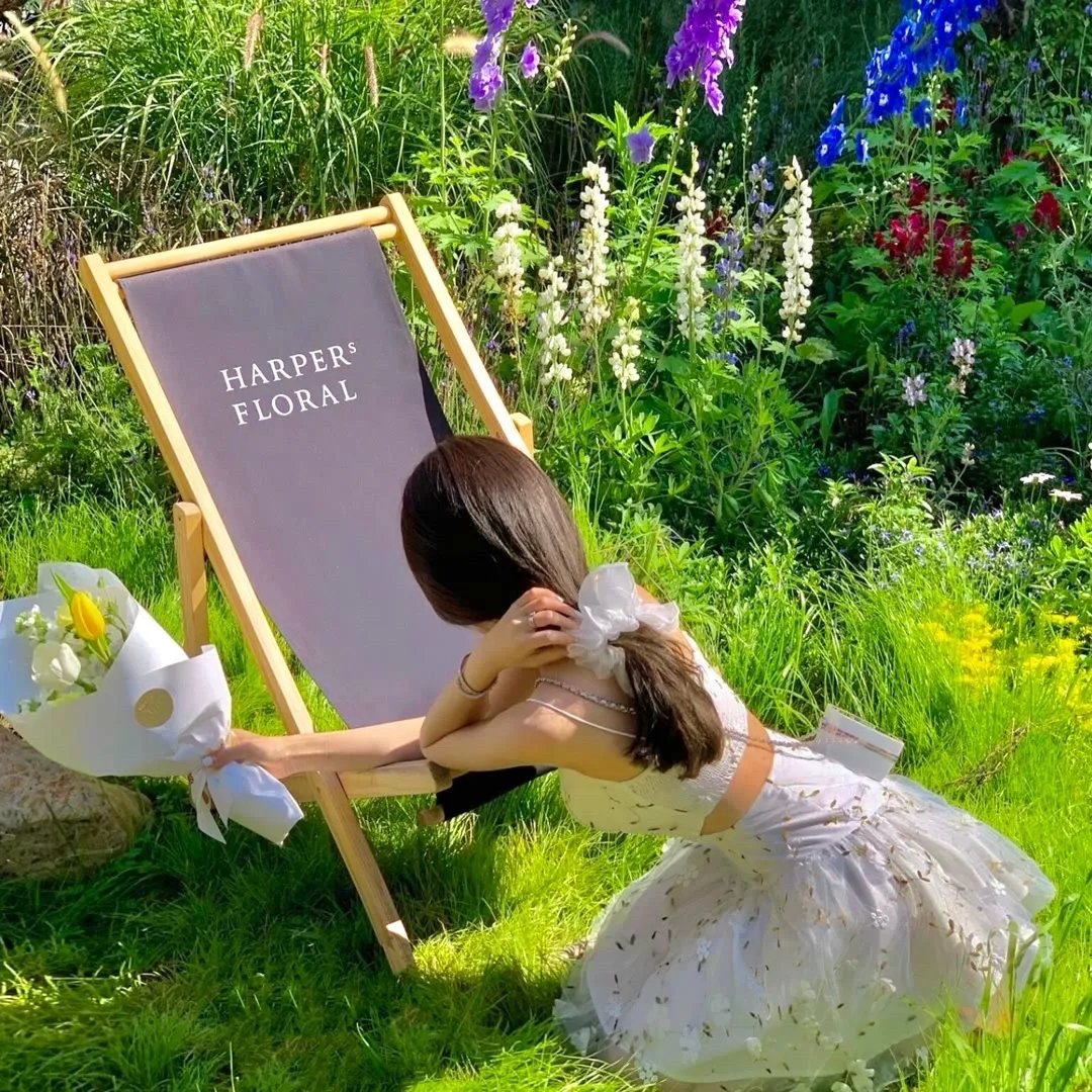 老祖修仙千年还治不了这朵白莲啦